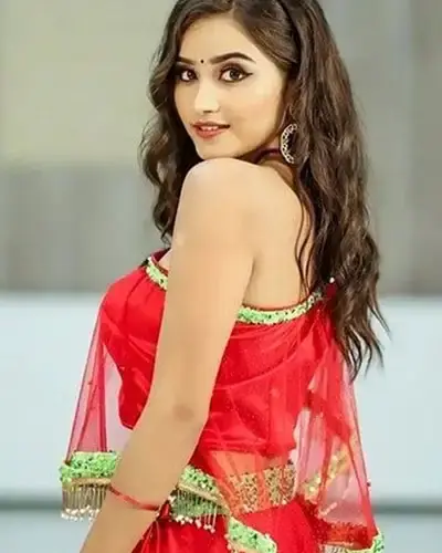 Escort In Srinagar